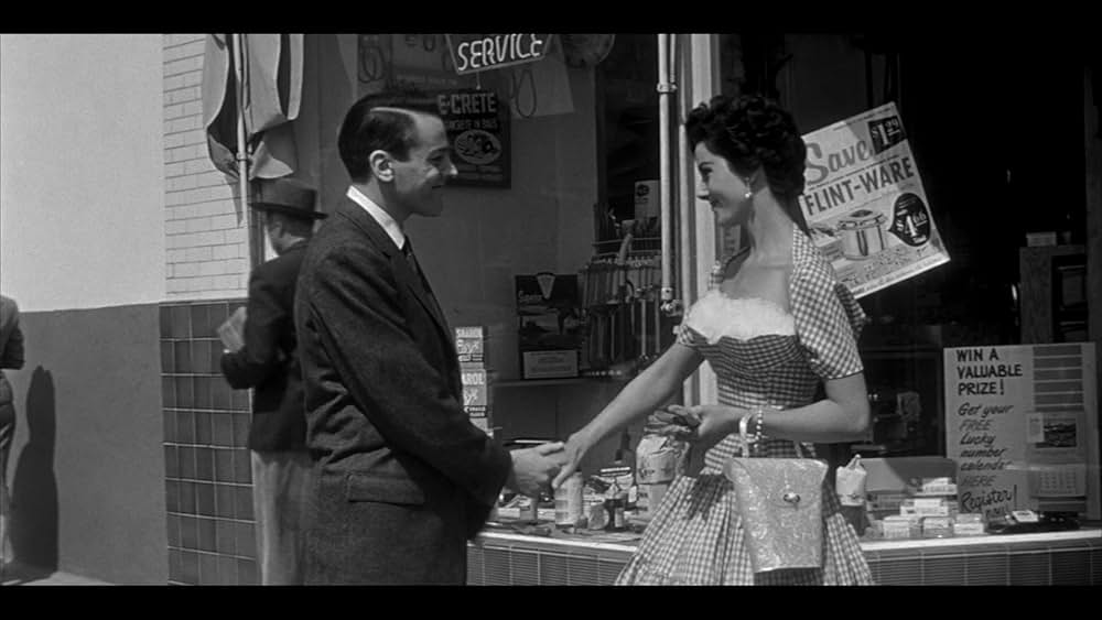 ボディ・スナッチャー/恐怖の街の画像