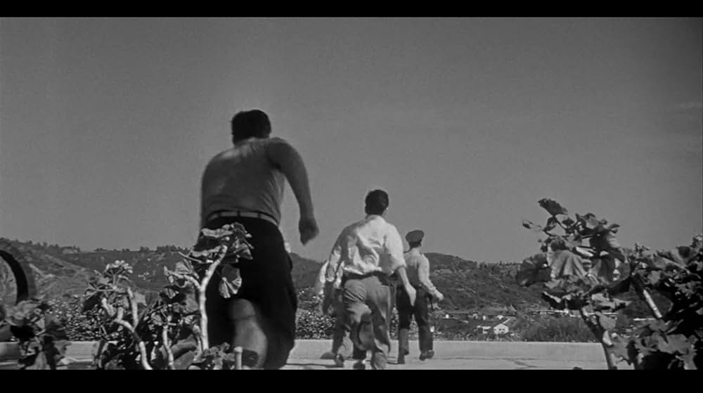 ボディ・スナッチャー/恐怖の街の画像