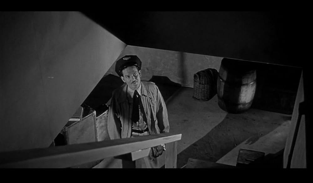 ボディ・スナッチャー/恐怖の街の画像