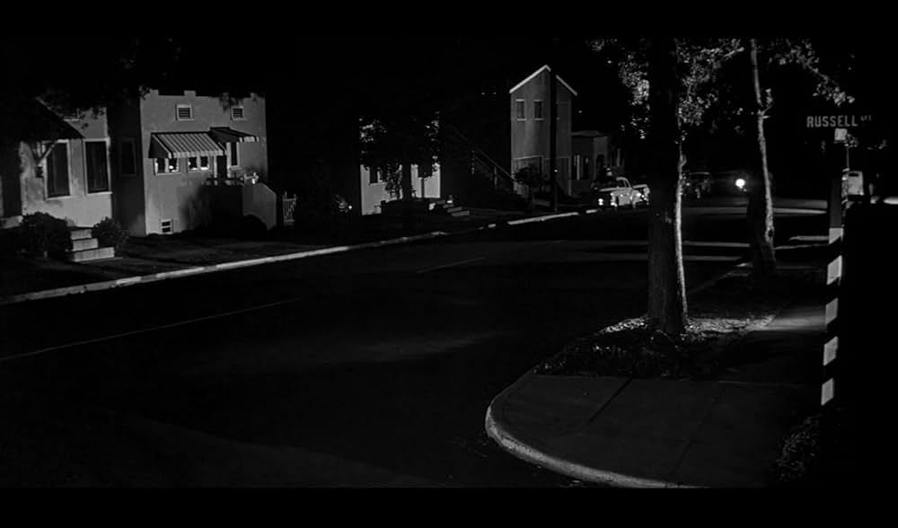 ボディ・スナッチャー/恐怖の街の画像