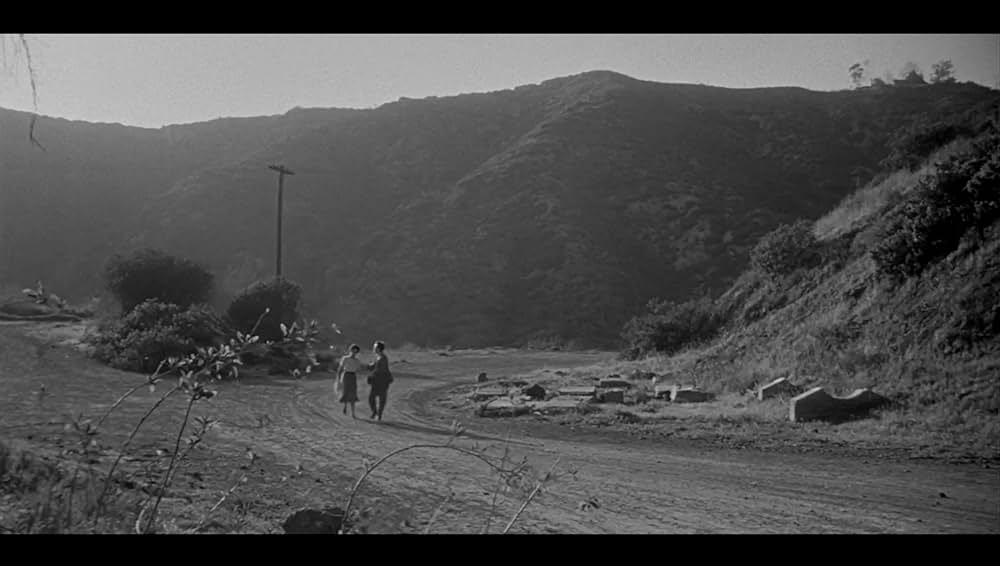 ボディ・スナッチャー/恐怖の街の画像