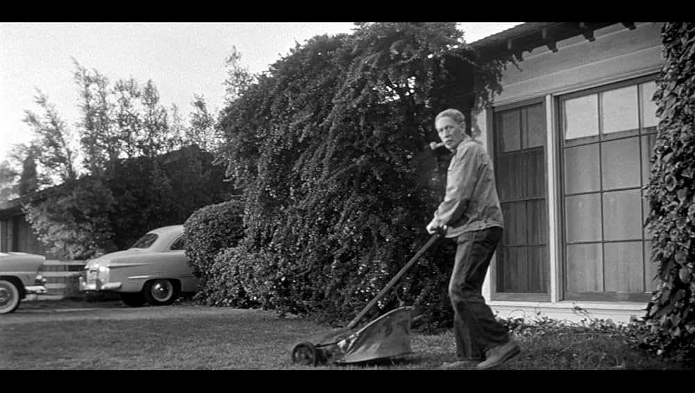 ボディ・スナッチャー/恐怖の街の画像