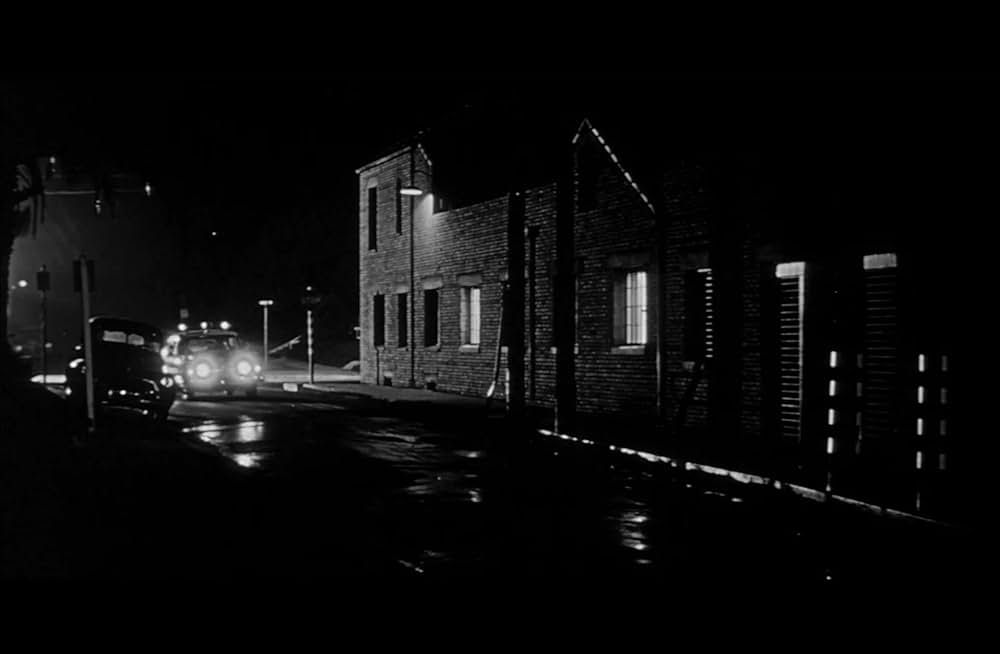 ボディ・スナッチャー/恐怖の街の画像