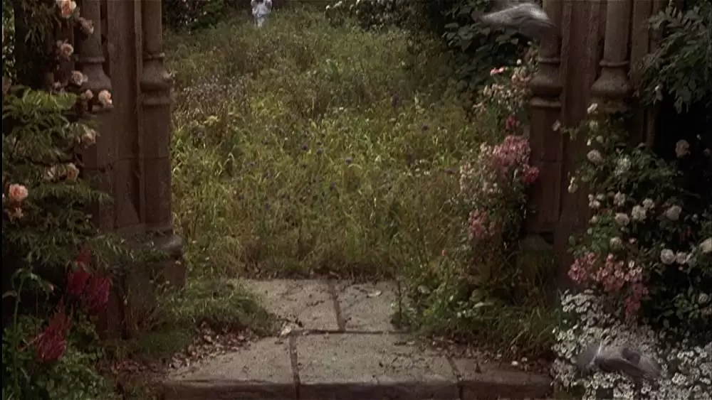 秘密の花園の画像