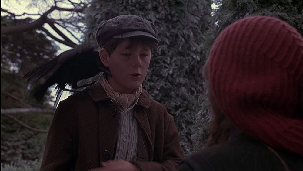 秘密の花園の画像