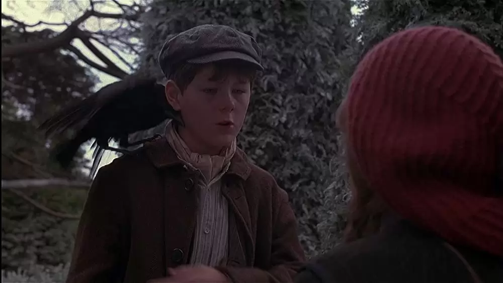 秘密の花園の画像