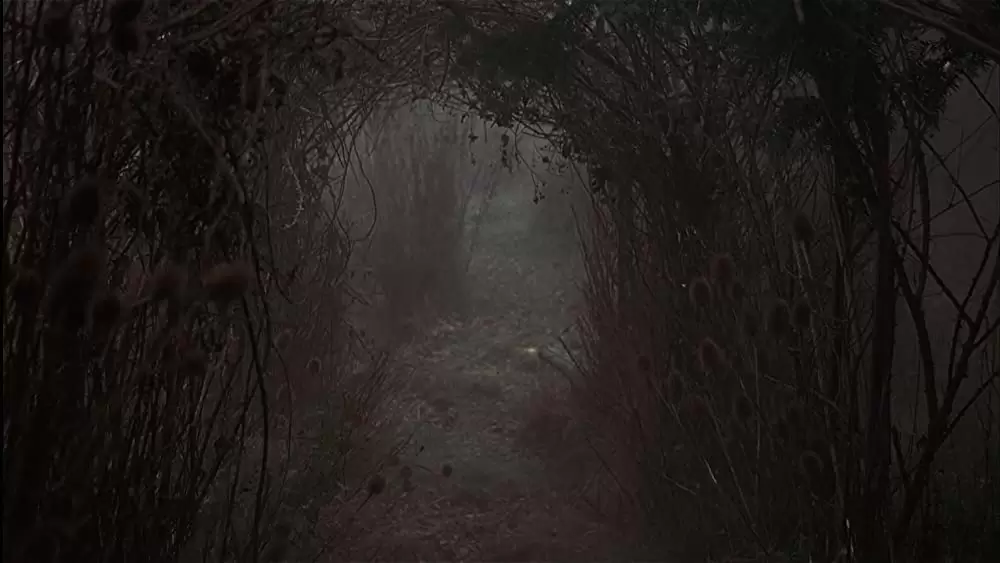 秘密の花園の画像