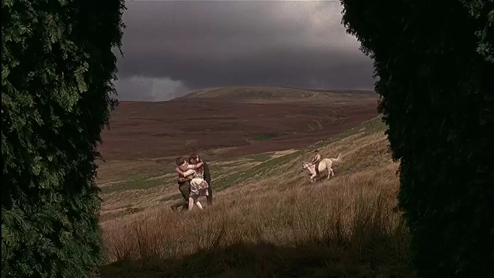 秘密の花園の画像