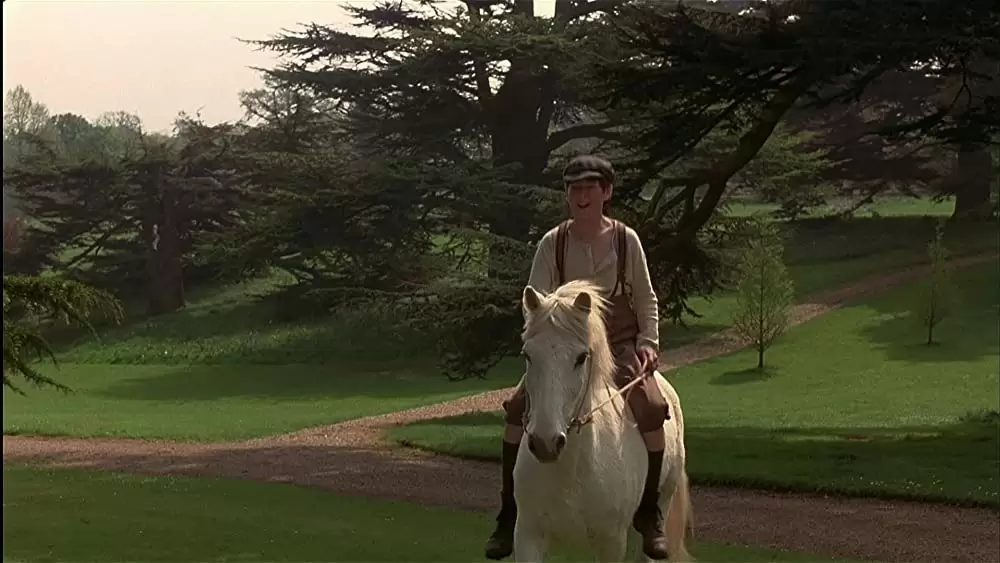 秘密の花園の画像