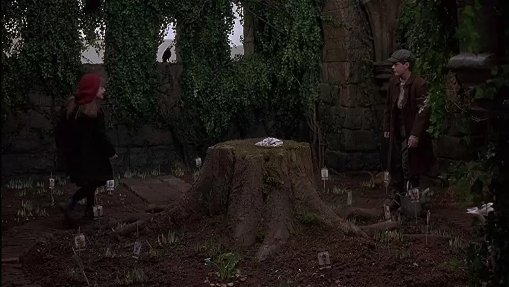 秘密の花園の画像