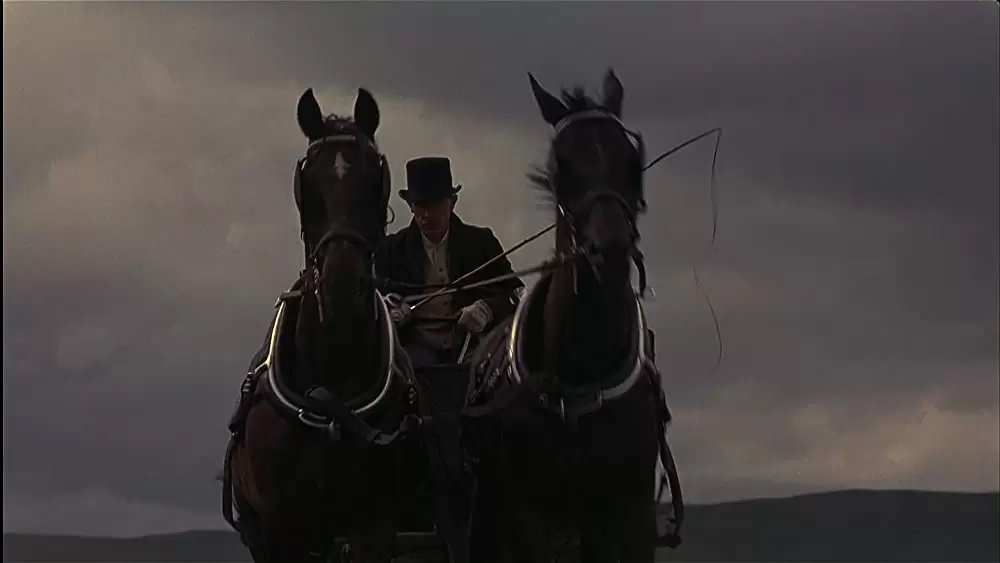 秘密の花園の画像