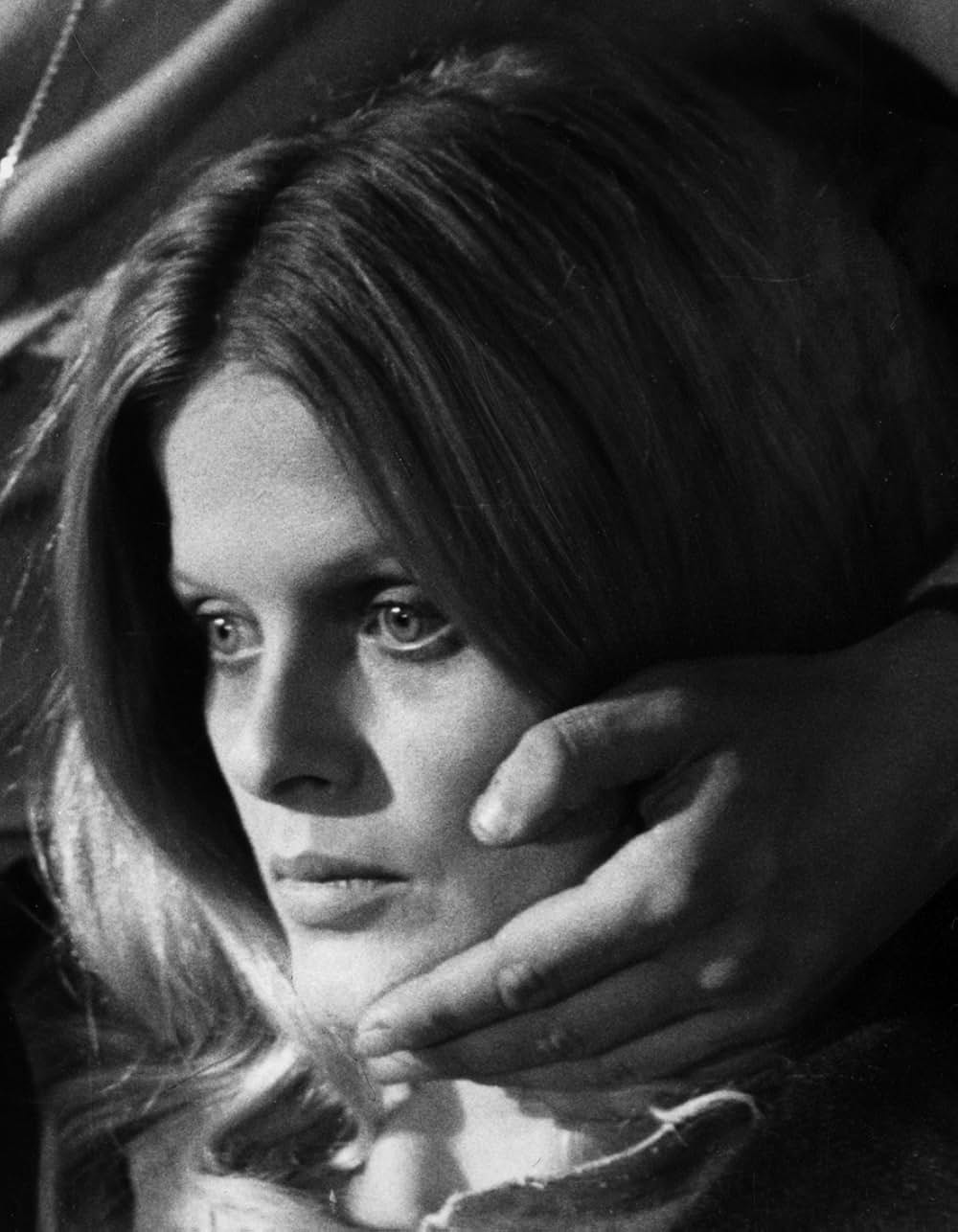 飼育の部屋の画像