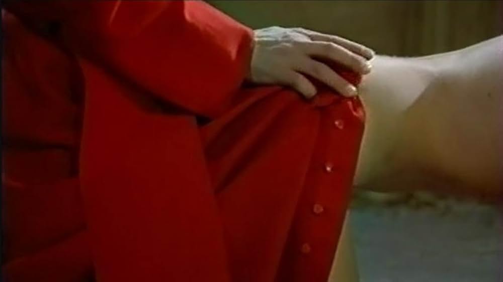 飼育の部屋の画像