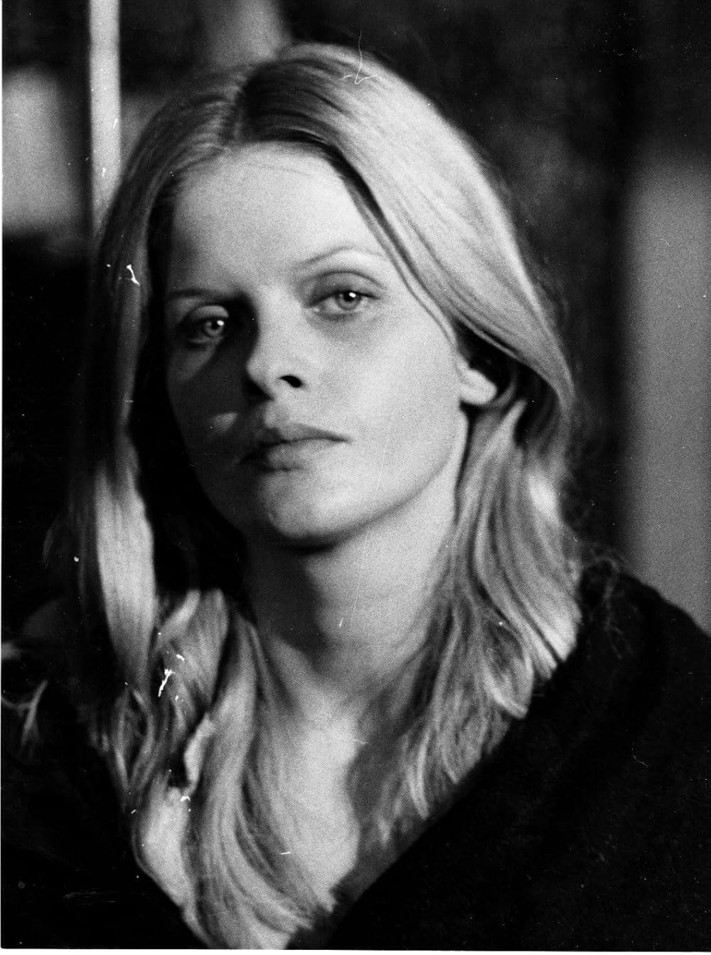 飼育の部屋の画像