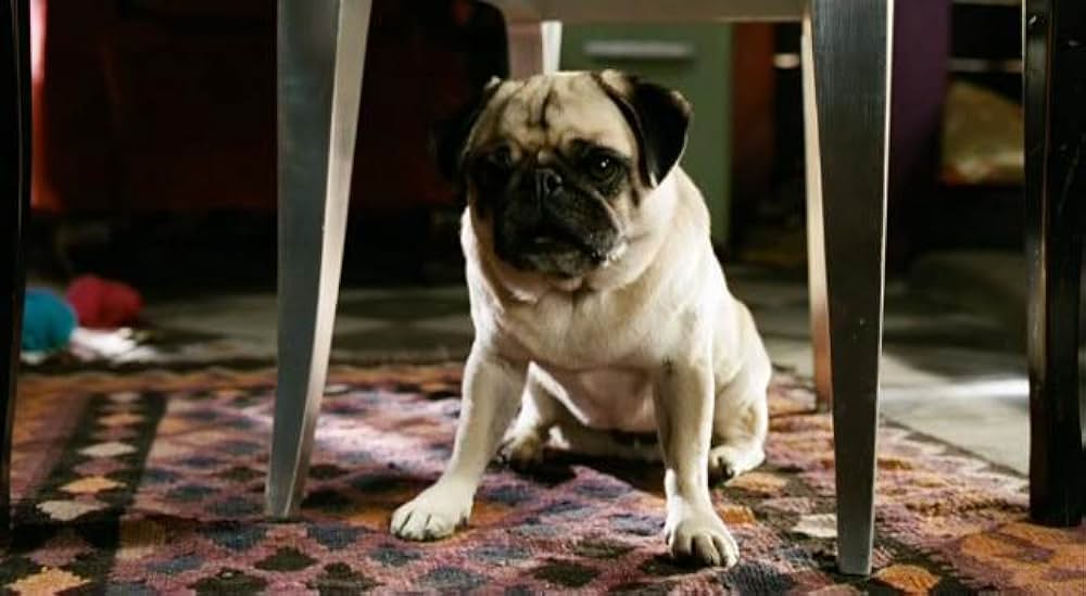 リリーと空飛ぶドラゴン Episode1:新しい魔法使いの誕生の画像