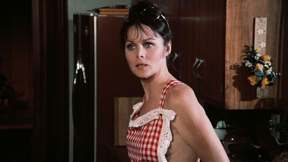 Pets（原題）の画像