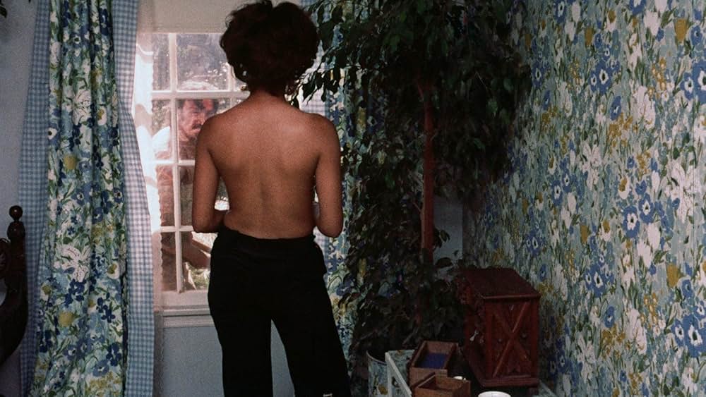 Pets（原題）の画像