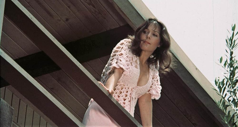 Pets（原題）の画像