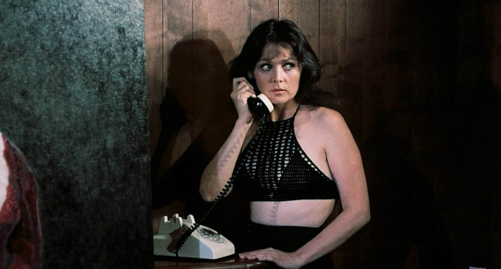 Pets（原題）の画像