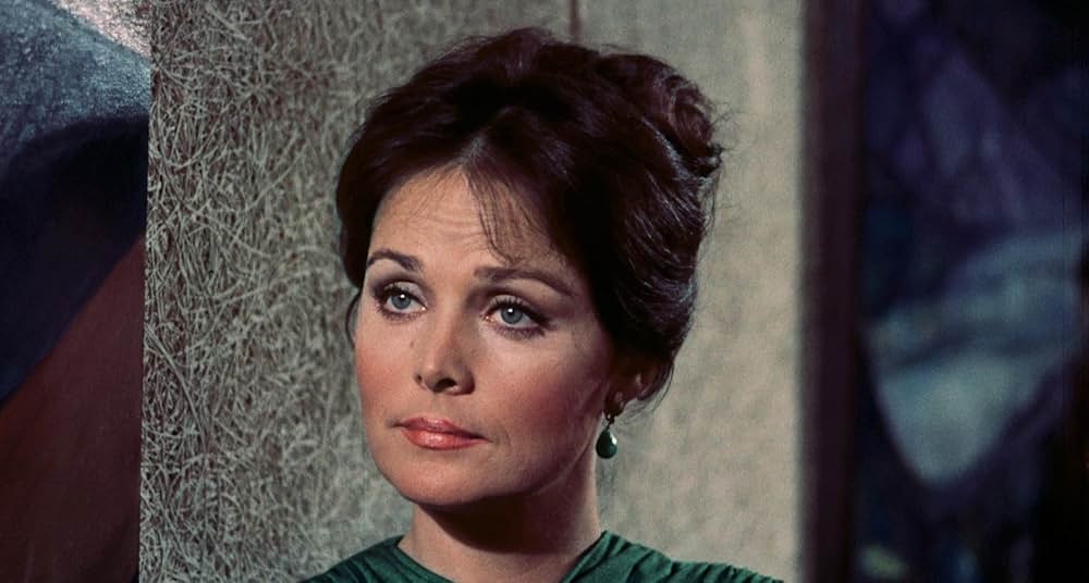 Pets（原題）の画像