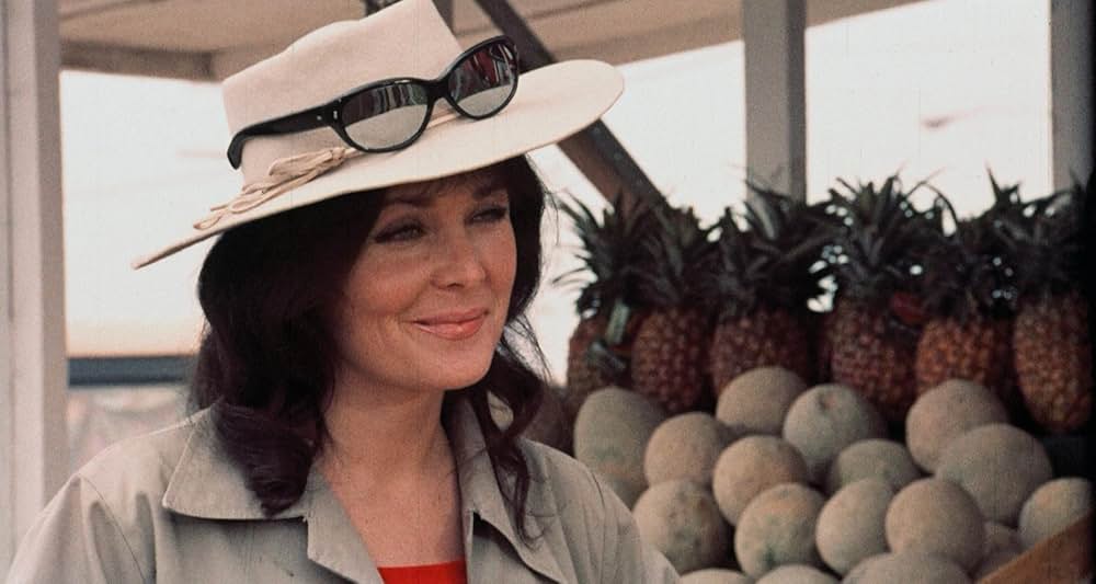 Pets（原題）の画像