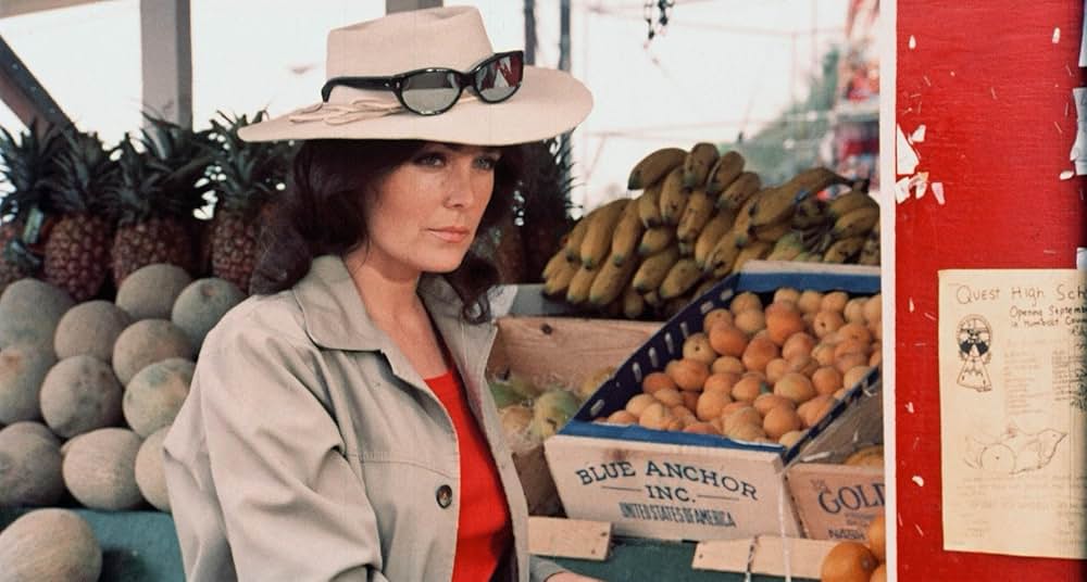 Pets（原題）の画像