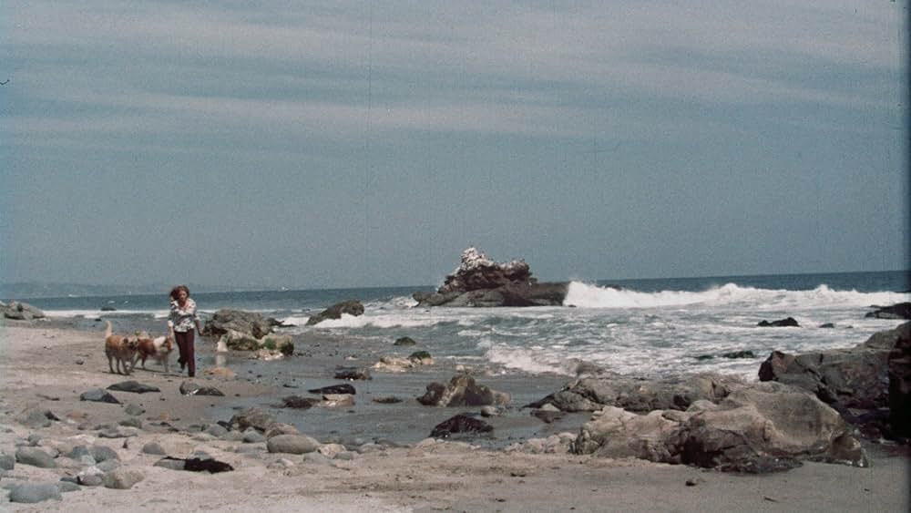 Pets（原題）の画像