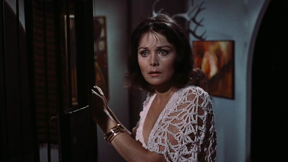 Pets（原題）の画像