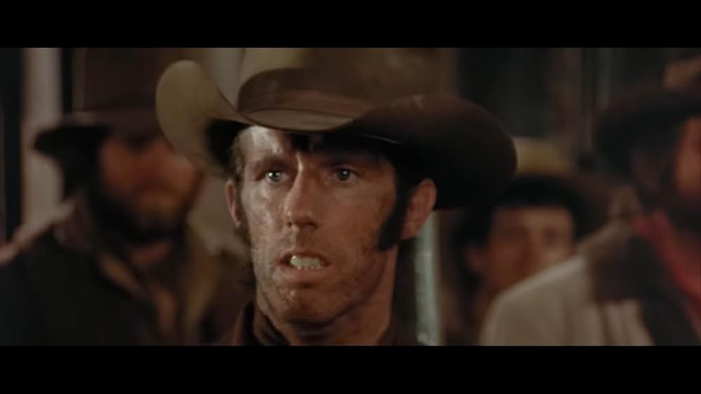 ミスター・ノーボディの画像