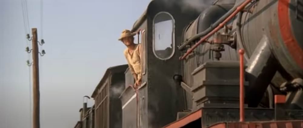 ミスター・ノーボディの画像