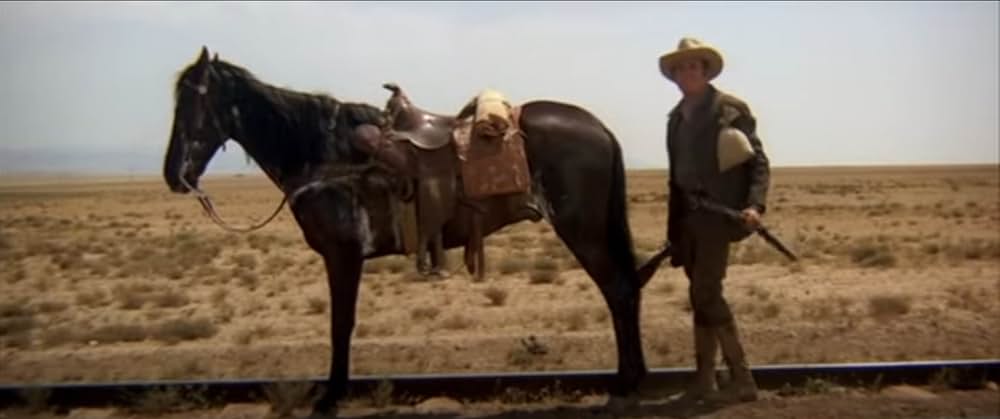 ミスター・ノーボディの画像