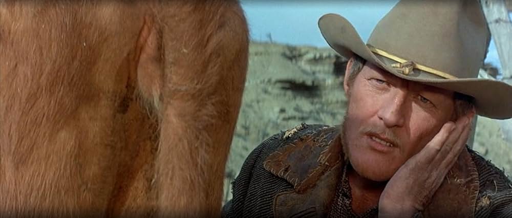 ミスター・ノーボディの画像