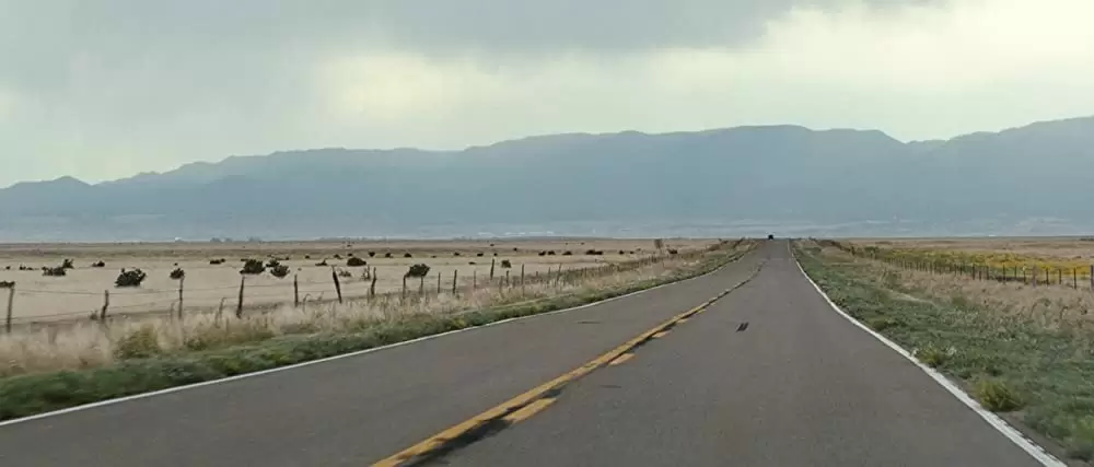 COP CAR コップ・カーの画像