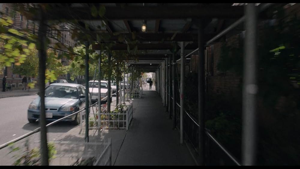 コート・スティーリングの画像