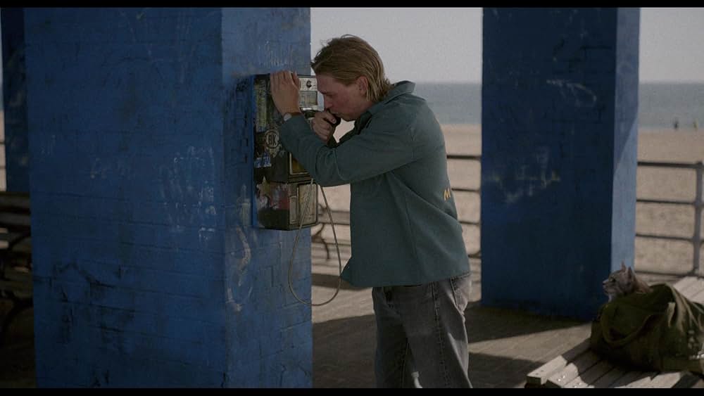 コート・スティーリングの画像