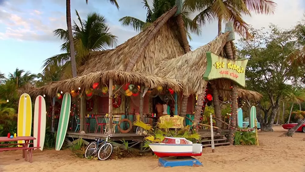 ティーン・ビーチ・ムービーの画像