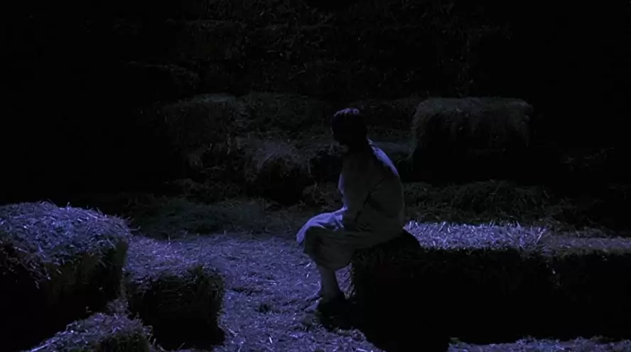 ハロウィン6 最後の戦い プロデューサーズ・カットの画像