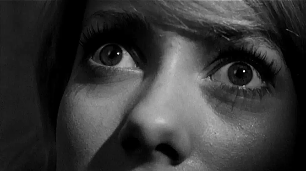 「反撥」カトリーヌ・ドヌーブの画像