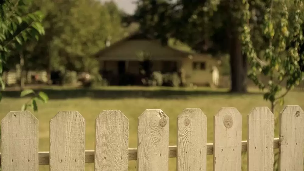 恋するリベラーチェの画像