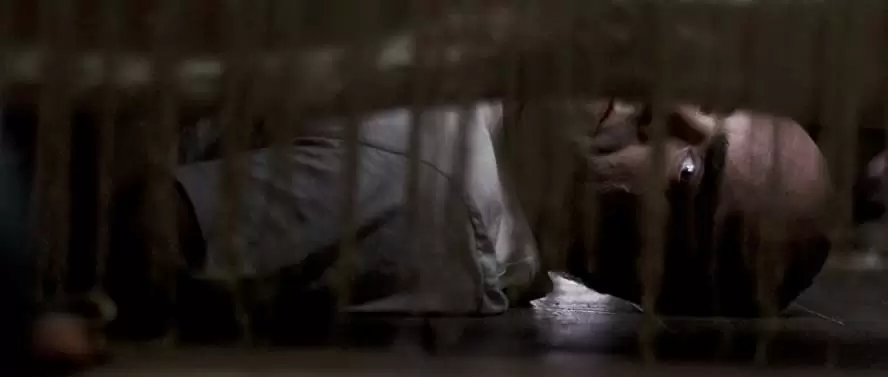 スリーピング タイト 白肌の美女の異常な夜の画像