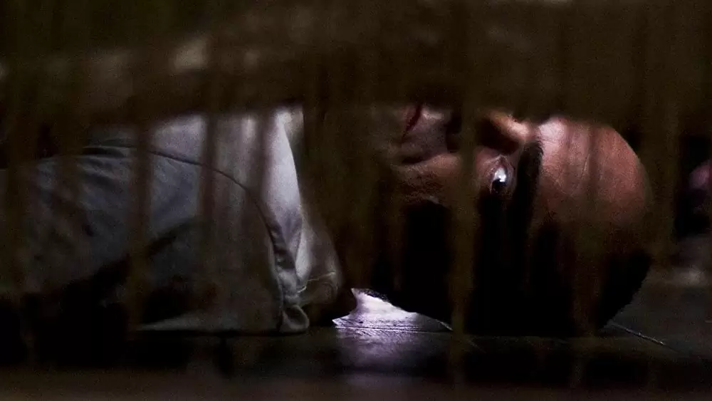 スリーピング タイト 白肌の美女の異常な夜の画像