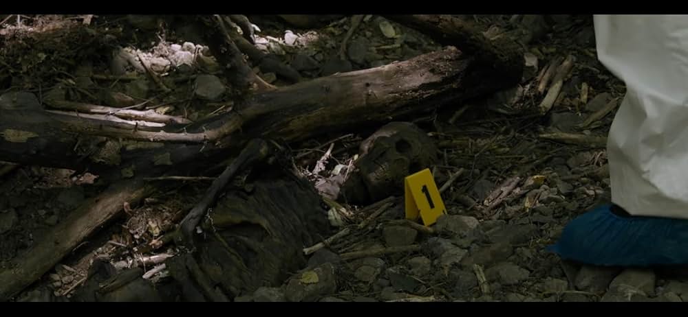 サバイバルバトルの画像