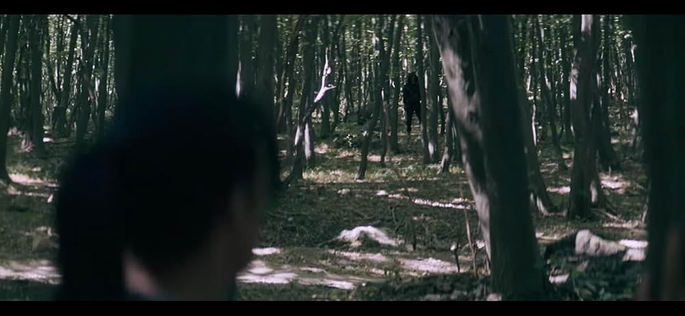 サバイバルバトルの画像