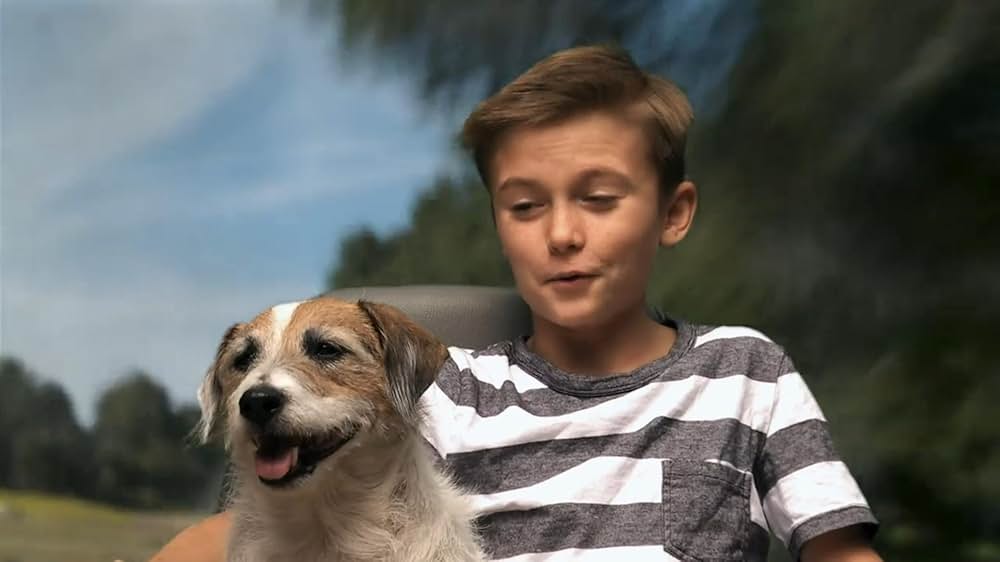 スター犬マーフィーの大脱走の画像