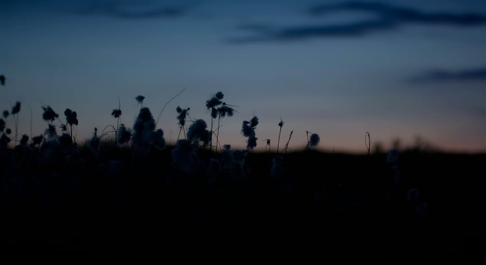 フロム・ザ・ダークの画像