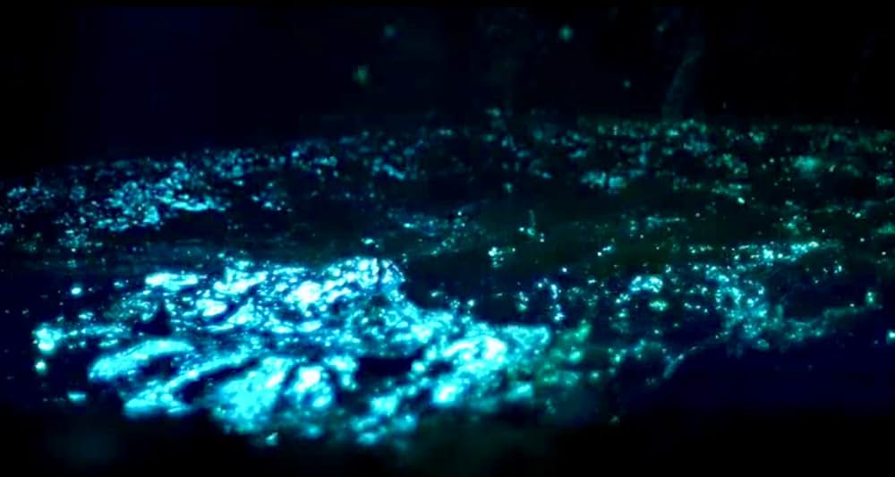 フロム・ザ・ダークの画像