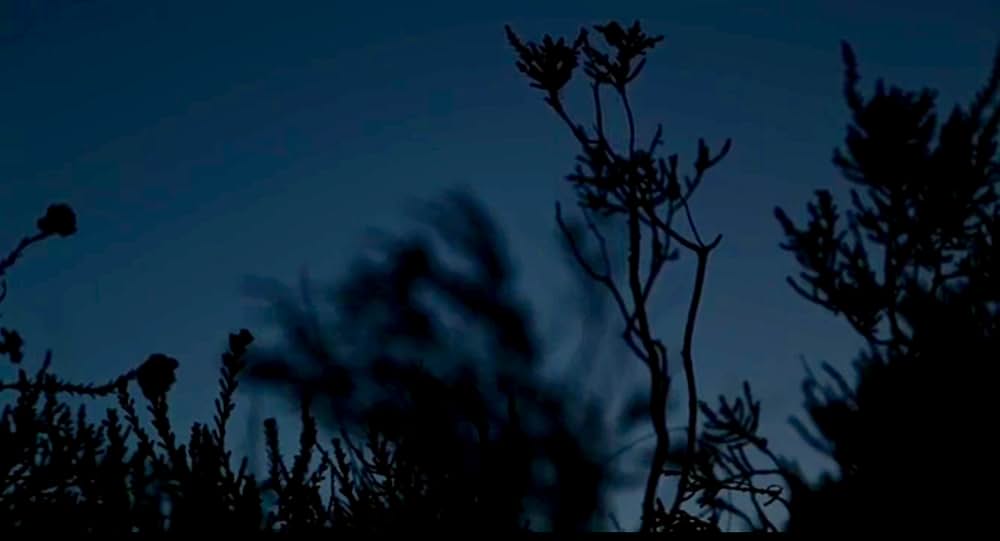 フロム・ザ・ダークの画像