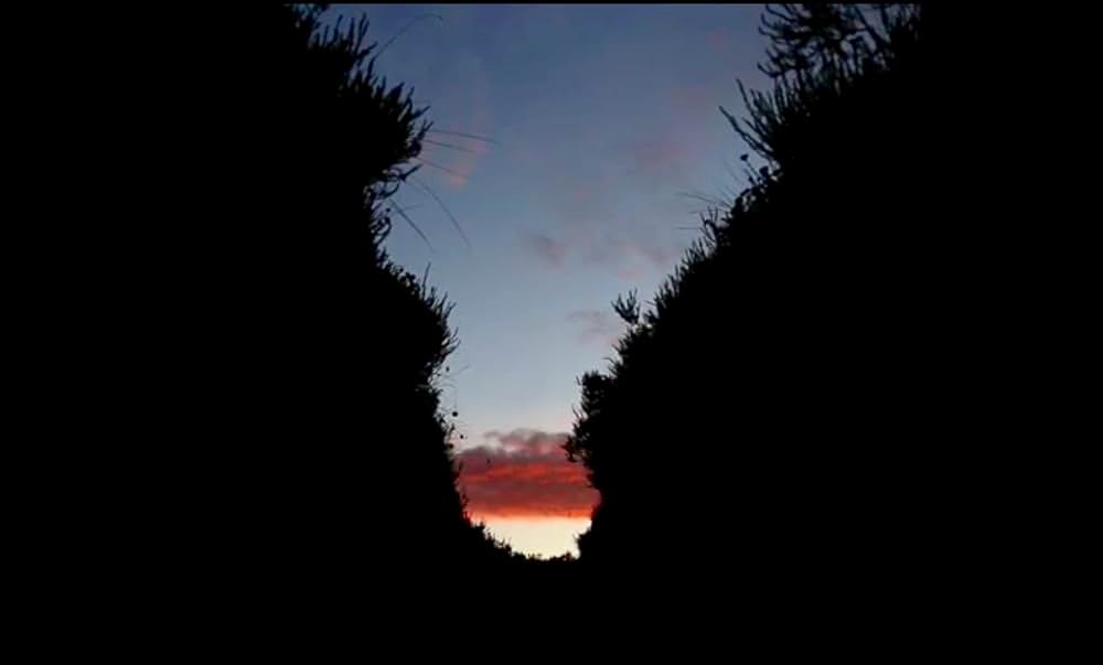 フロム・ザ・ダークの画像