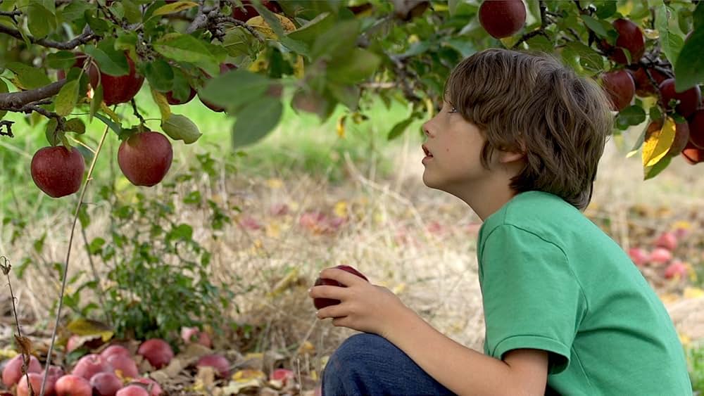 ニュータウンの画像