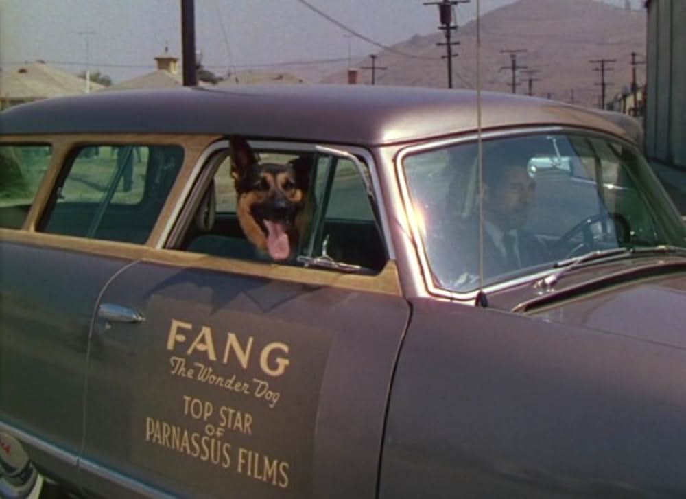 愛の宝くじの画像